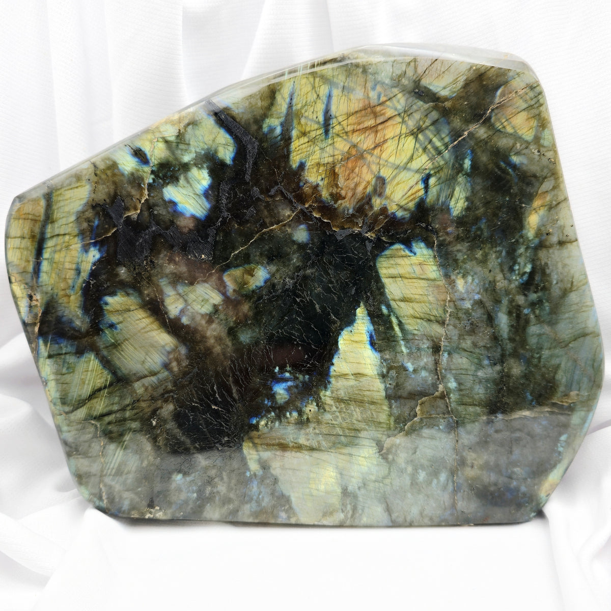 Labradorite - Forme libre